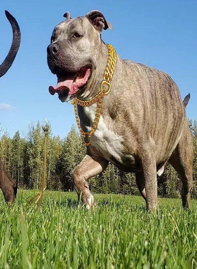 KsPups Pet Dog Fancy Choke Chain Collar, Dog Choke Chain Martingale Collar - 24 Inch for Large Dog Neckless (Gold Color, 2 Layer) - Image 3